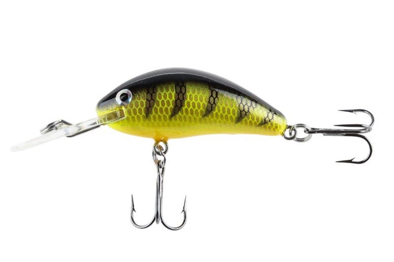 The Abbot 45mm, Fluo Perch