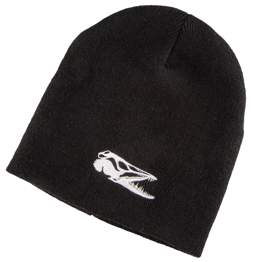 Bild på IFISH Beanie